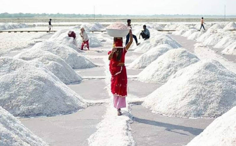 लौटेगी नावां के नमक की चमक,रेलवे स्टेशन पर गुड्स शेड का निर्माण