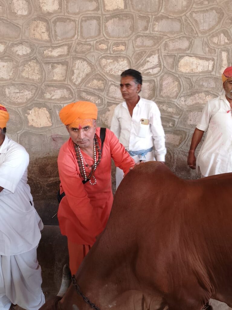 गौ माता की पुजा अर्चना करके धूमधाम से मनाया गोपाष्टमी पर्व 1 img 20241109 wa00434312069737557835590