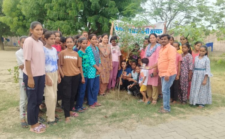  भाइयों से भी बढ़कर पेड़ पौधे हमारे जीवन के रक्षक = सीरवी
