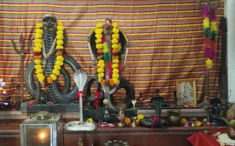  जातरूओं ने लोकदेवता गोगाजी महाराज की पूजा-अर्चना कर घोक लगाई, गूगरी मातर की प्रसाद चढा़ मन्नते मांगी